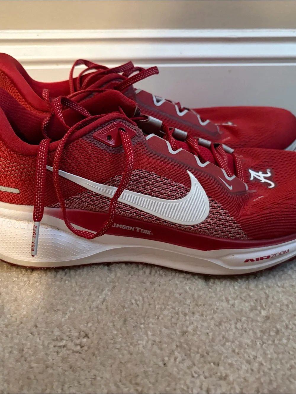 Nike Pegasus 41 Alabama Shoes